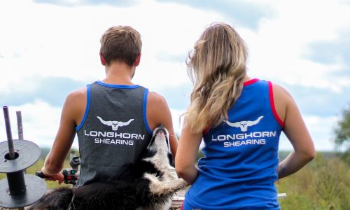 Longhorn Shearing Long Tail Singlet
