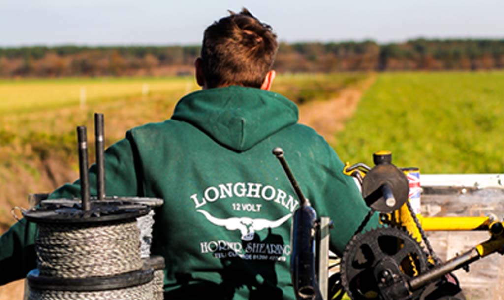 Longhorn Original Hoodie