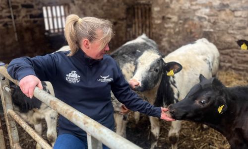 Longhorn Shearing 'No Farmers, No Food' Navy 1⁄4 Zip Sweat
