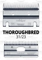 Thoroughbred 31-23