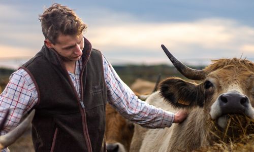 Longhorn Shearing Gilet